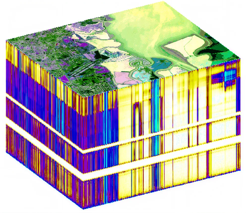 Hyperspectral Imagery